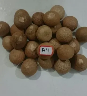A4 Grade Whole Betelnuts