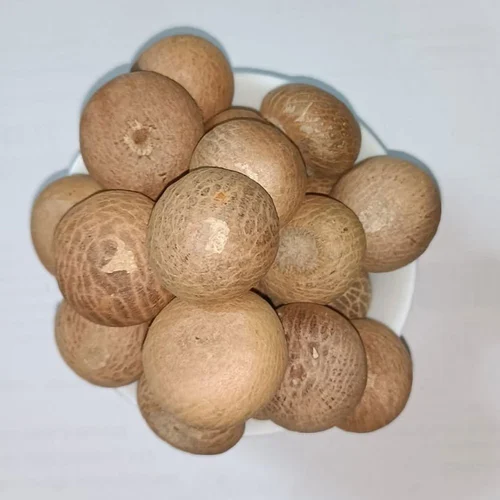 A4 Grade Whole Betelnuts - Image 3