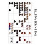 EVE Experience - Image 5